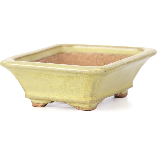 Pot à bonsaï rectangulaire jaune par Hattori - 105 x 81 x 33 mm