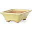 Rectangular yellow bonsai pot by Hattori - 105 x 81 x 33 mm