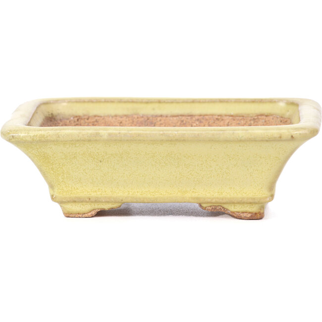 Rectangular yellow bonsai pot by Hattori - 105 x 81 x 33 mm