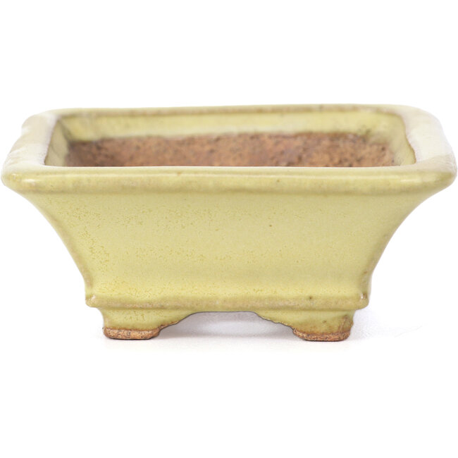 Pot à bonsaï rectangulaire jaune par Hattori - 105 x 81 x 33 mm