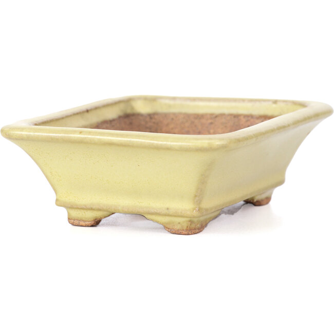Rechthoekige gele bonsaipot van Hattori - 105 x 81 x 33 mm