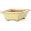 Rectangular yellow bonsai pot by Hattori - 105 x 81 x 33 mm