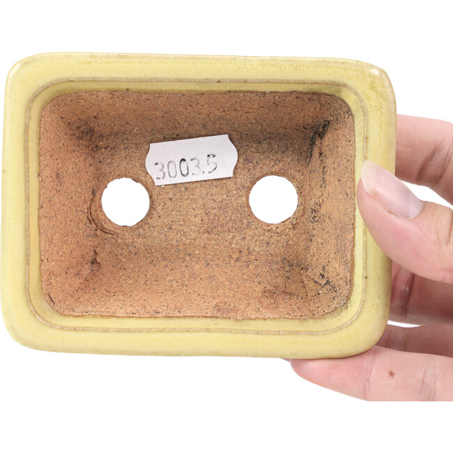 Rectangular yellow bonsai pot by Hattori - 105 x 81 x 33 mm