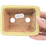 Pot à bonsaï rectangulaire jaune par Hattori - 105 x 81 x 33 mm