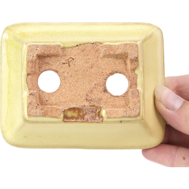 Maceta de bonsái amarilla rectangular de Hattori - 106 x 82 x 32 mm