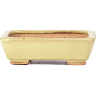 Hattori Tomoyuki 106 mm rectangular yellow bonsai pot by Hattori, Tokoname, Japan