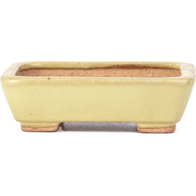 Rectangular yellow bonsai pot by Hattori - 106 x 82 x 32 mm