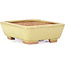 Rectangular yellow bonsai pot by Hattori - 106 x 82 x 32 mm