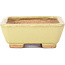 Rectangular yellow bonsai pot by Hattori - 106 x 82 x 32 mm