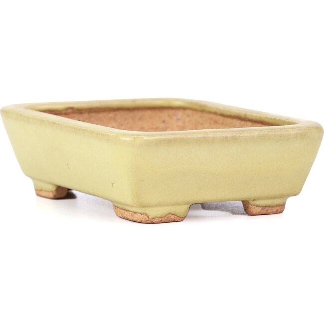 Rechthoekige gele bonsaipot van Hattori - 106 x 82 x 32 mm