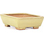 Rectangular yellow bonsai pot by Hattori - 106 x 82 x 32 mm