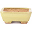 Rectangular yellow bonsai pot by Hattori - 106 x 82 x 32 mm