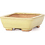 Rectangular yellow bonsai pot by Hattori - 106 x 82 x 32 mm