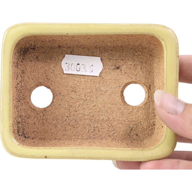 Vaso per bonsai rettangolare giallo di Hattori - 106 x 82 x 32 mm