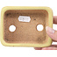 Pot à bonsaï rectangulaire jaune par Hattori - 106 x 82 x 32 mm