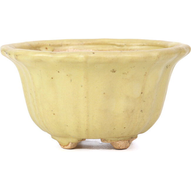 Lotus yellow bonsai pot by Hattori - 130 x 126 x 72 mm