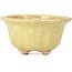 Lotus gele bonsai pot van Hattori - 130 x 126 x 72 mm