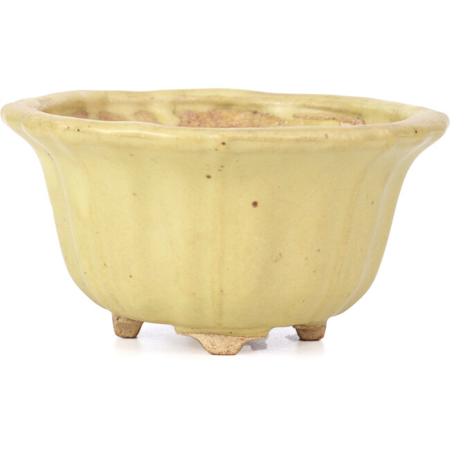 Vaso per bonsai giallo loto di Hattori - 130 x 126 x 72 mm