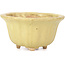 Lotus yellow bonsai pot by Hattori - 130 x 126 x 72 mm