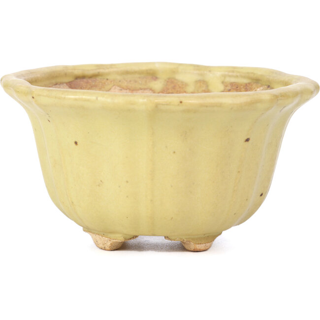 Vaso per bonsai giallo loto di Hattori - 130 x 126 x 72 mm