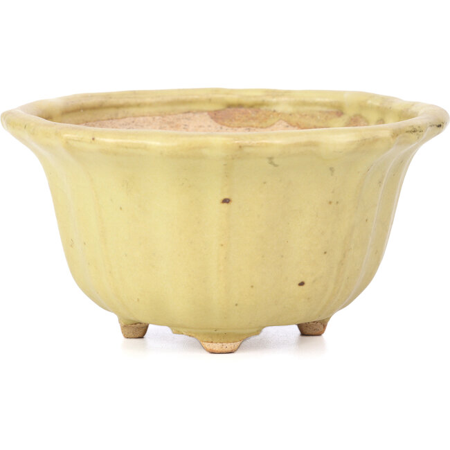 Pot à bonsaï Lotus jaune par Hattori - 130 x 126 x 72 mm