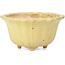 Vaso per bonsai giallo loto di Hattori - 130 x 126 x 72 mm