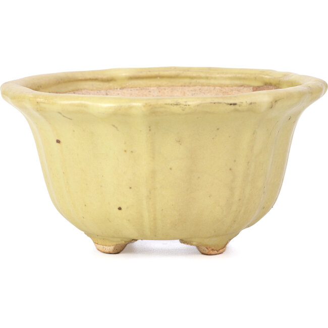 Pot à bonsaï Lotus jaune par Hattori - 130 x 126 x 72 mm