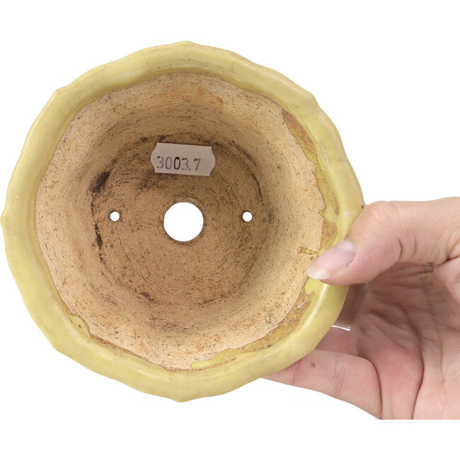 Lotosgelbe Bonsaischale von Hattori - 130 x 126 x 72 mm