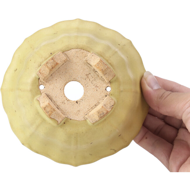 Maceta de bonsái amarilla hexagonal de Hattori - 130 x 115 x 64 mm