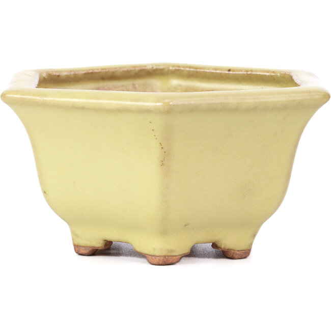Maceta de bonsái amarilla hexagonal de Hattori - 130 x 115 x 64 mm