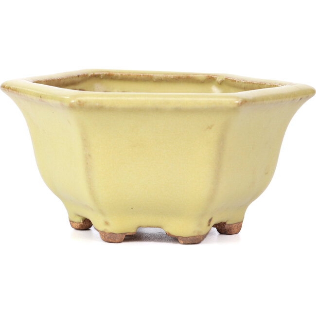 Sechseckige gelbe Bonsaischale von Hattori - 130 x 115 x 64 mm