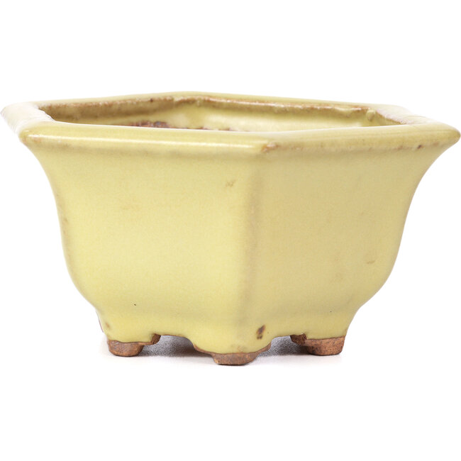 Sechseckige gelbe Bonsaischale von Hattori - 130 x 115 x 64 mm