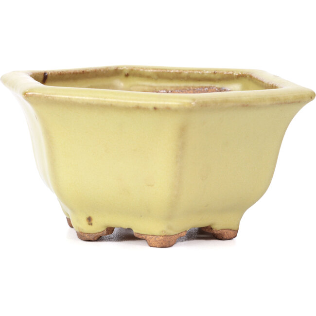 Hexagonal yellow bonsai pot by Hattori - 130 x 115 x 64 mm