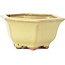 Hexagonal yellow bonsai pot by Hattori - 130 x 115 x 64 mm