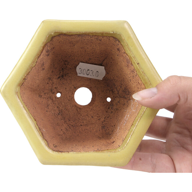 Vaso per bonsai esagonale giallo di Hattori - 130 x 115 x 64 mm