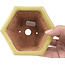 Maceta de bonsái amarilla hexagonal de Hattori - 130 x 115 x 64 mm