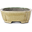 Rectangular beige bonsai pot by Terahata Satomi Mazan - 161 x 125 x 45 mm