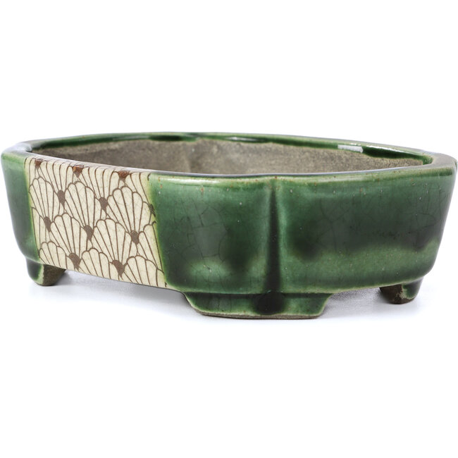 Maceta de bonsái verde rectangular de Terahata Satomi Mazan - 161 x 125 x 45 mm