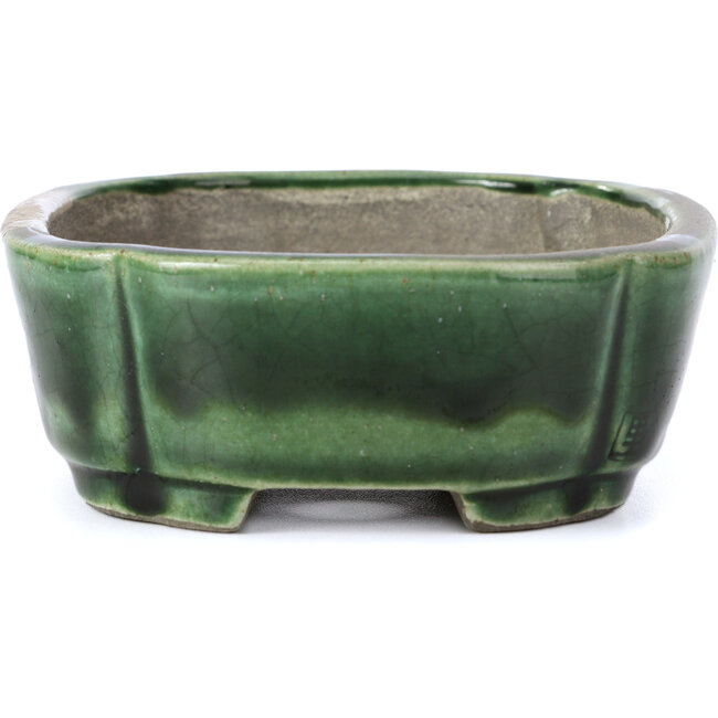 Rechteckige grüne Bonsaischale von Terahata Satomi Mazan - 161 x 125 x 45 mm