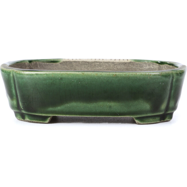 Rechthoekige groene bonsaipot van Terahata Satomi Mazan - 161 x 125 x 45 mm