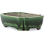 Rectangular green bonsai pot by Terahata Satomi Mazan - 161 x 125 x 45 mm