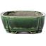 Rectangular green bonsai pot by Terahata Satomi Mazan - 161 x 125 x 45 mm