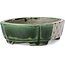 Rectangular green bonsai pot by Terahata Satomi Mazan - 161 x 125 x 45 mm