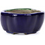 Pot à bonsaï bleu Mokko par Terahata Satomi Mazan - 101 x 87 x 40 mm