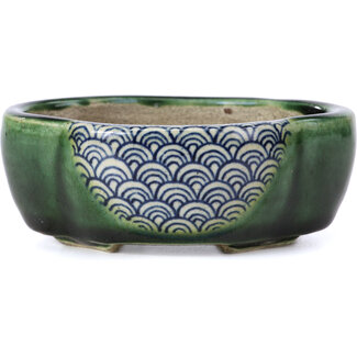  Satomi Mazan, Mazan Terahata Pot à bonsaï vert mokko 101 mm par Terahata Satomi Mazan, Tokoname, Japon