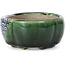 Mokko green bonsai pot by Terahata Satomi Mazan - 101 x 87 x 40 mm