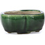 Pot à bonsaï Mokko vert par Terahata Satomi Mazan - 101 x 87 x 40 mm