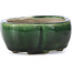 Vaso per bonsai Mokko verde di Terahata Satomi Mazan - 101 x 87 x 40 mm