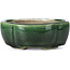 Mokko green bonsai pot by Terahata Satomi Mazan - 101 x 87 x 40 mm