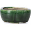 Mokko green bonsai pot by Terahata Satomi Mazan - 101 x 87 x 40 mm